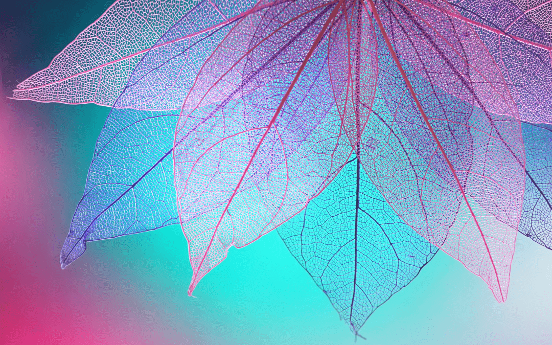 Blatt_entfalten